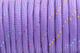 Rainbow Paracord 550 Lanyard Rope