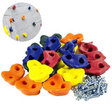 Wall Climbing Hand Holds with Hardware Screw